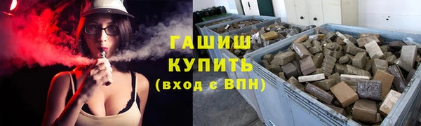 гашик Алексин