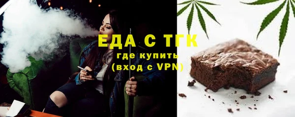 гашик Алексин