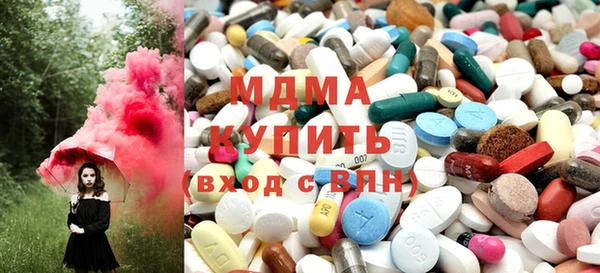 гашик Алексин