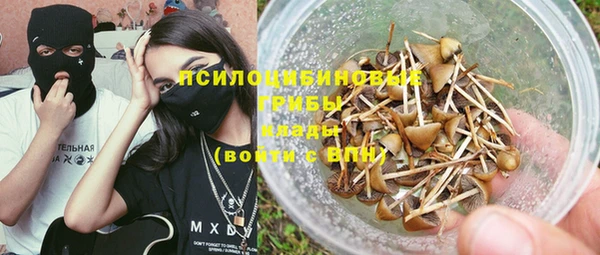 гашик Алексин