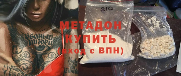 гашик Алексин