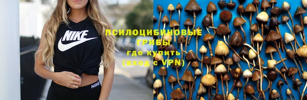 кокс Алзамай