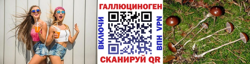 Галлюциногенные грибы MAGIC MUSHROOMS  нарко площадка клад  Чусовой  цена наркотик 