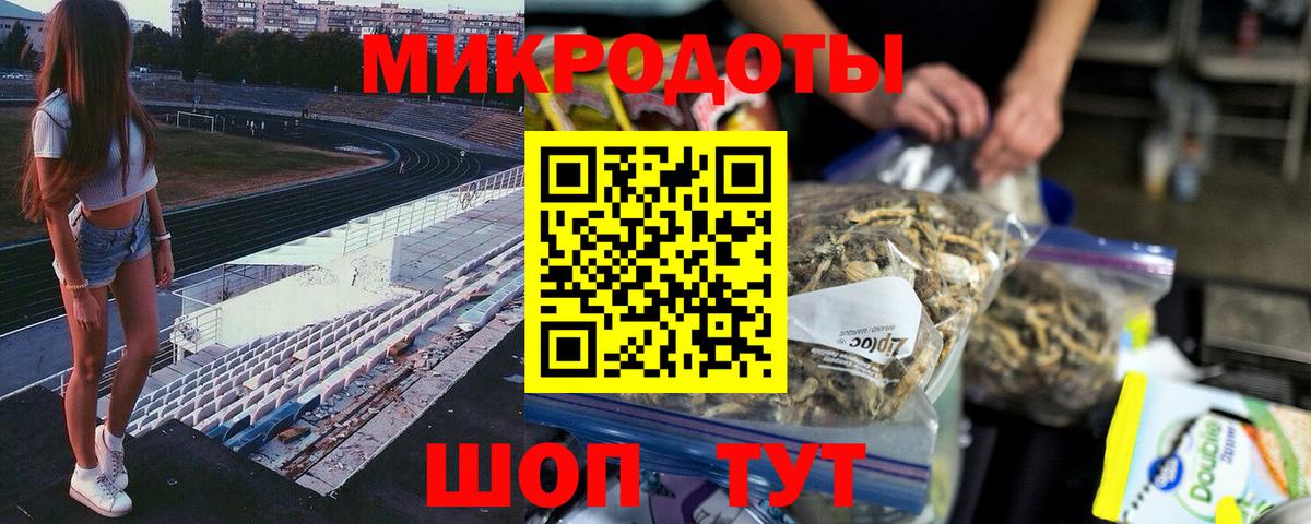 Псилоцибиновые грибы Cubensis Чусовой