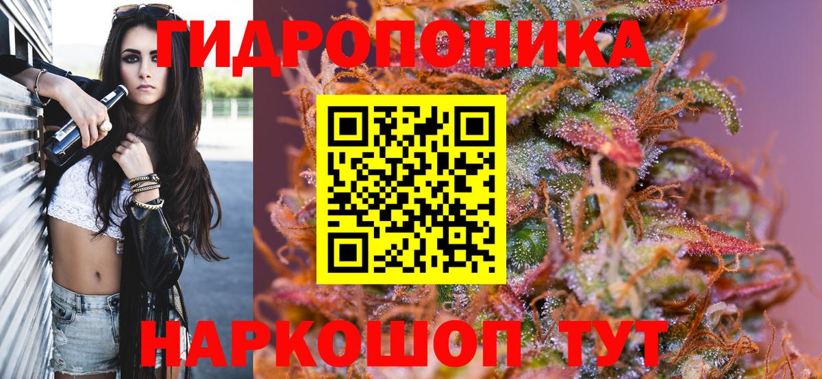 Бошки марихуана план Чусовой